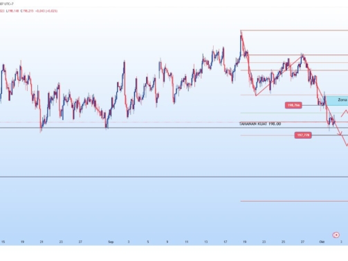 photo_6264915073956955536_y