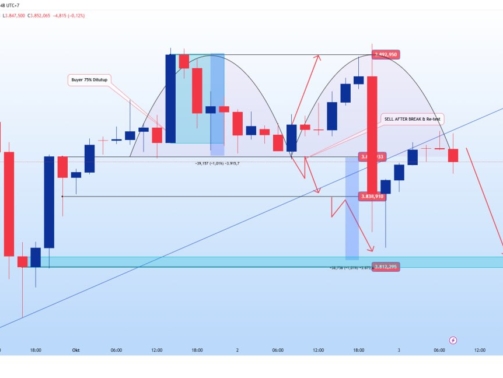 photo_6267166873774394226_y