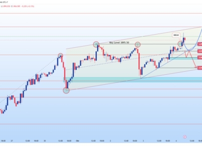 photo_6278210892549786369_y