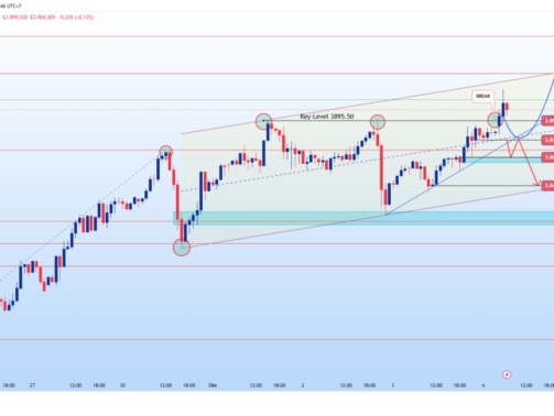 photo_6278210892549786369_y