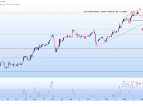 photo_6278526156034214775_y
