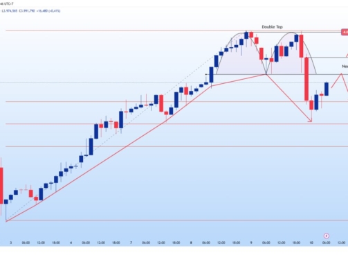 photo_6287453589156334632_y