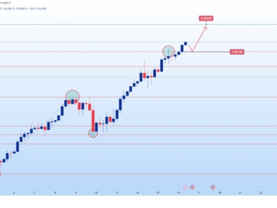 photo_6305072897919224703_y