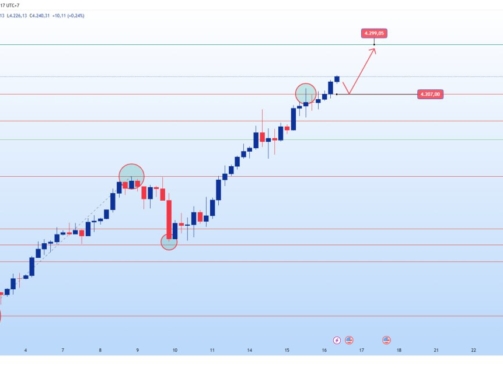 photo_6305072897919224703_y