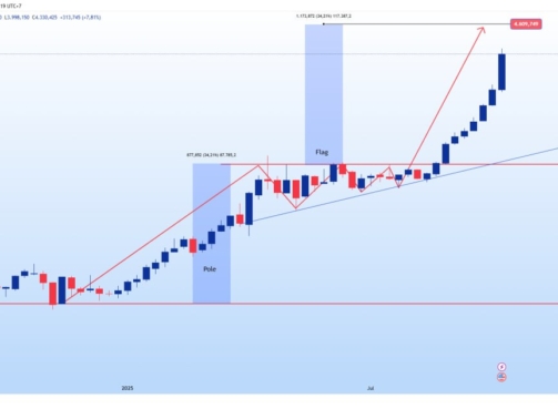 photo_6307841704421166252_y