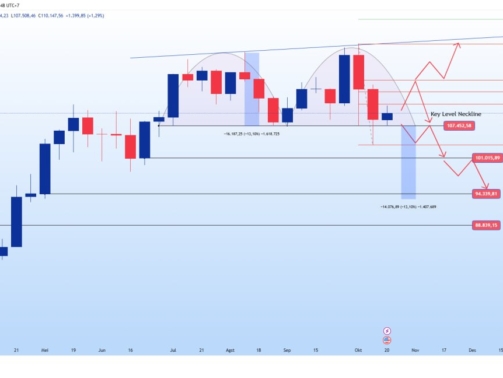 photo_6321225071623605097_y
