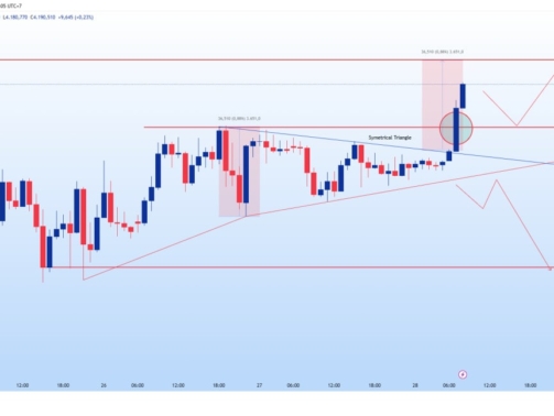 WhatsApp Image 2025-11-28 at 08.24.27