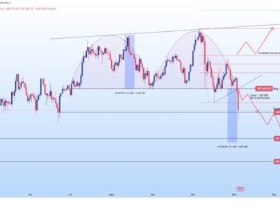 photo_6077868118643510236_y