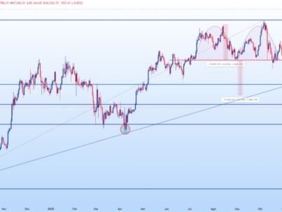 photo_6125452215934716735_y