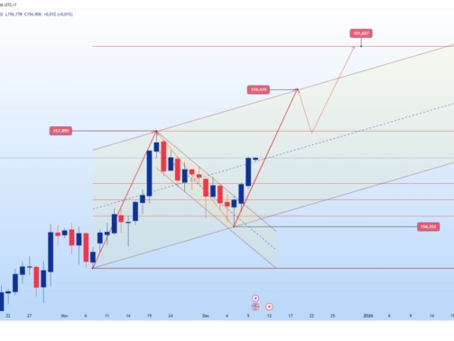 photo_6181583796361169795_y