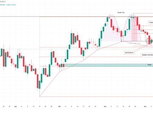 photo_6183677588623002399_y