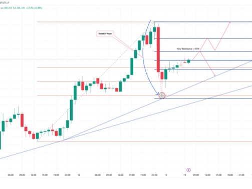photo_6197244007331597058_y