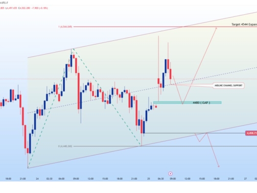 photo_6228484328132381707_y