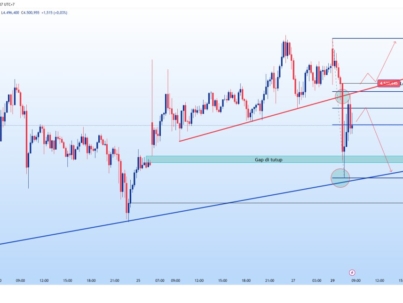 photo_6237595096228498315_y