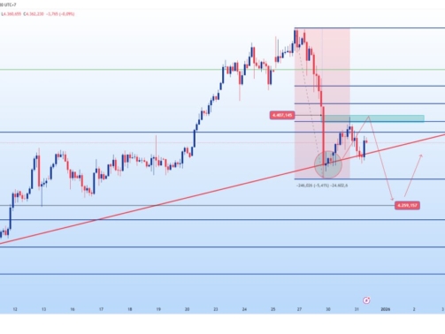 photo_6244681152316771169_y