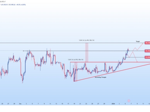 photo_6262732453185260368_y