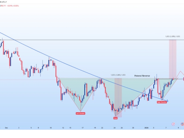 photo_6267260869133667546_y