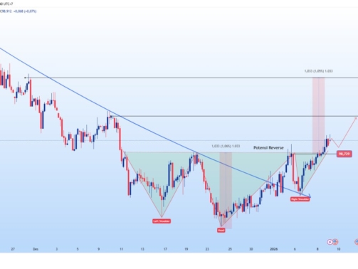 photo_6269566265844239987_y