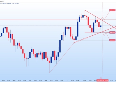 photo_6269566265844240005_y