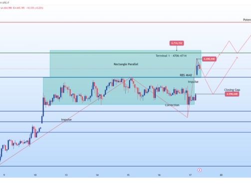 photo_6298429352311459062_y