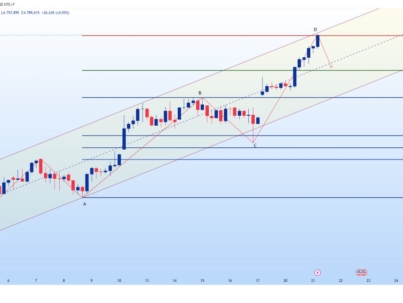 photo_6307722385934716325_y