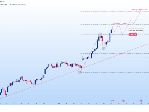 photo_6312355749409000518_y