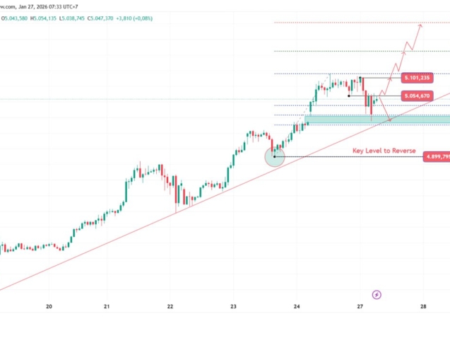 photo_6323513825335905957_y