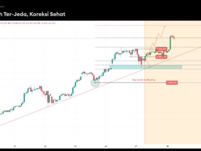 photo_6325647822786596378_y