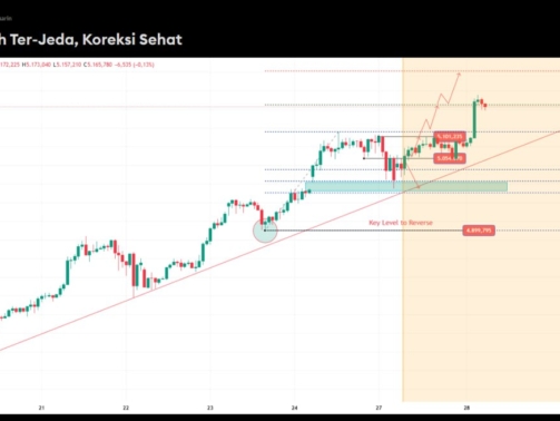 photo_6325647822786596378_y