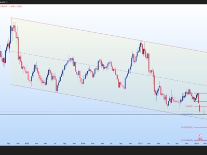 photo_6325647822786596379_y