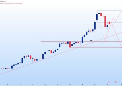 photo_6332473277439217115_y