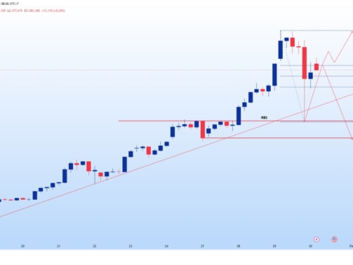 photo_6332473277439217115_y