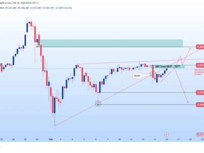 WhatsApp Image 2026-02-16 at 05.36.56