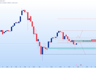 photo_6066486236265778476_y