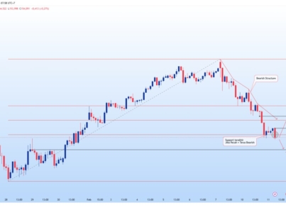 photo_6078140793232232137_y