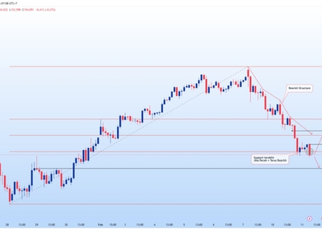 photo_6078140793232232137_y