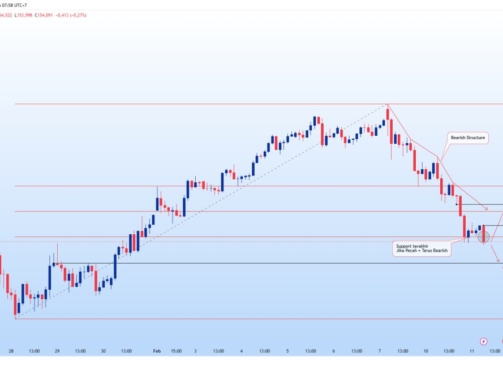 photo_6078140793232232137_y