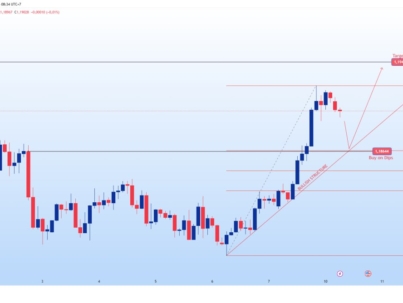 photo_6078165399099870536_y