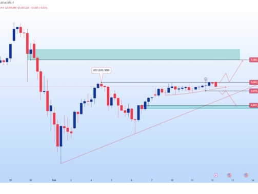 photo_6082437731918220529_y