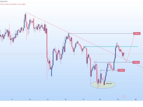 photo_6104968580597222849_y