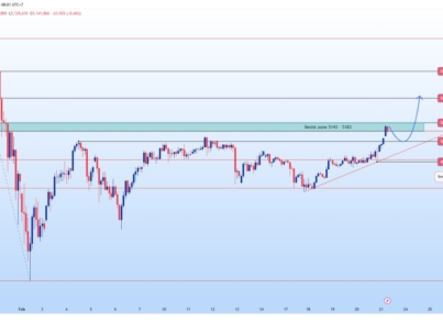 photo_6116298025719238154_y