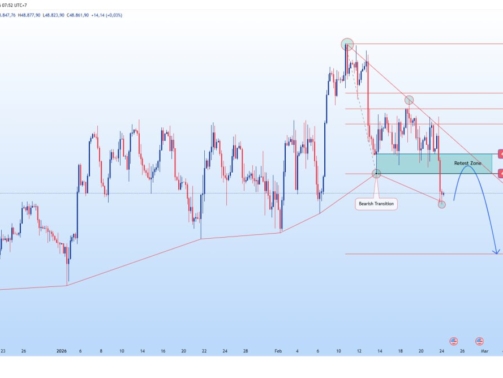 photo_6118549825532923636_y