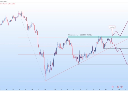 photo_6125254999626419546_y