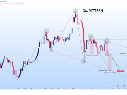 photo_6156434800043035969_y