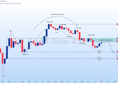 photo_6210759917224791323_y