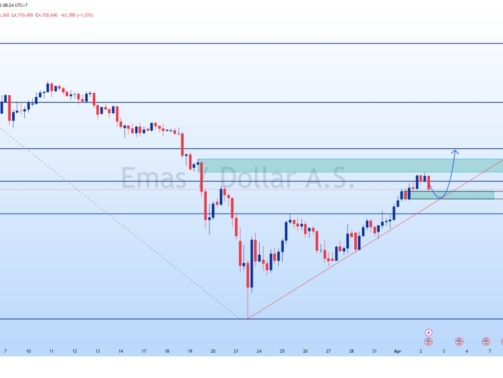 photo_6226361622150712699_y