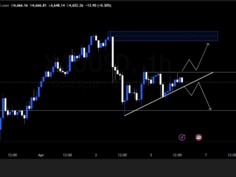 photo_6240200212936855110_y