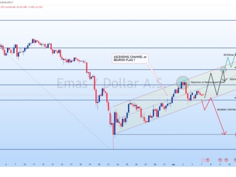 photo_6242035705865506147_y