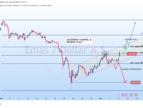 photo_6244353768434634527_y