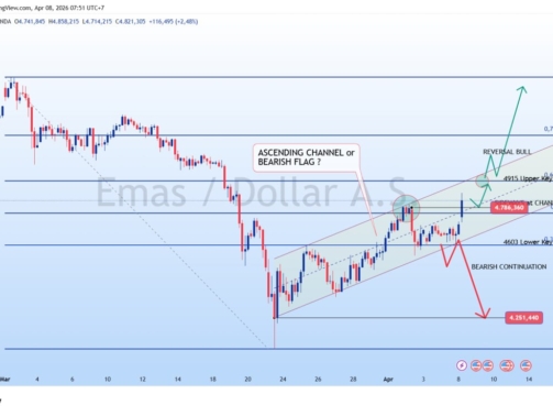 photo_6244353768434634527_y